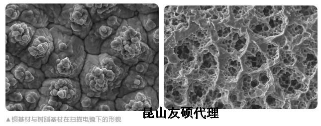 太原蔡司太原扫描电镜